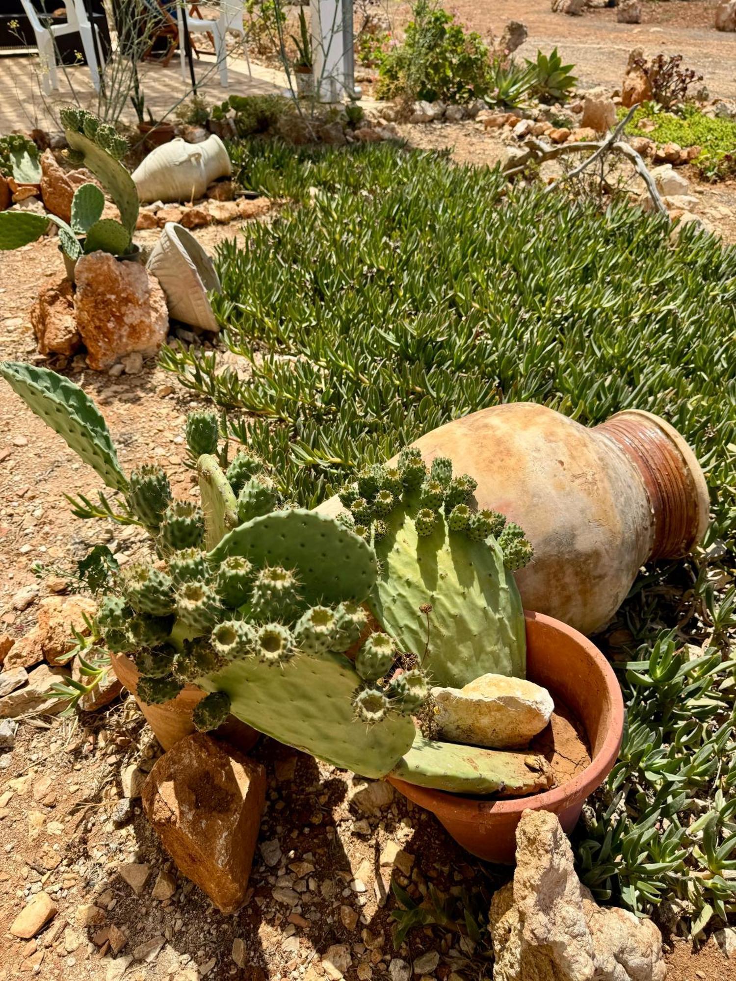 Aria Case Vacanze Favignana Dış mekan fotoğraf